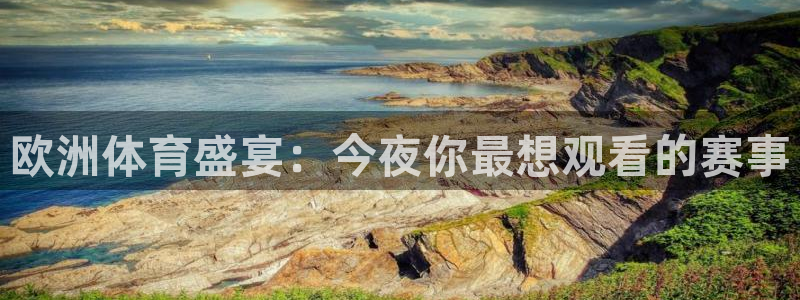 绿茵直播体育在线观看高清