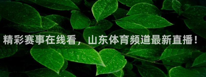 绿茵直播nba免费