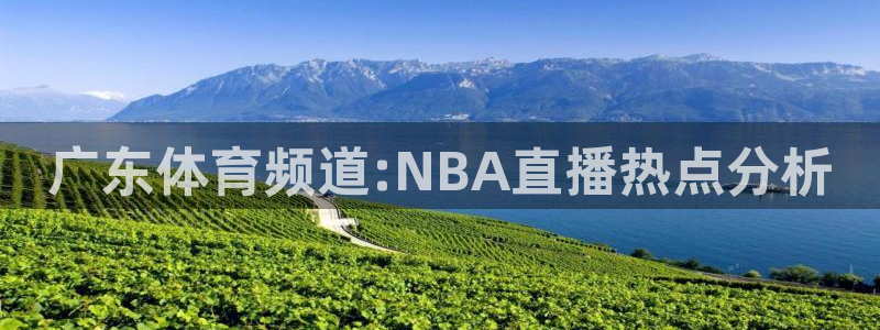 绿茵直播下载