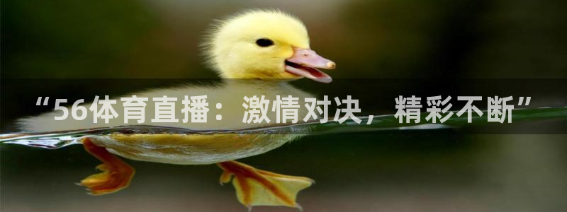 nba绿茵直播在线观看