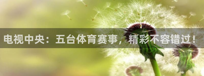 绿茵直播nba免费观看高清