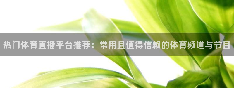 绿茵直播体育在线观看免费视频