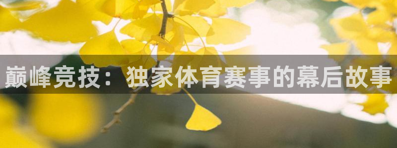 绿茵直播足球