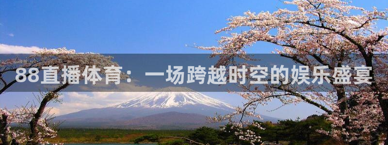 体育新闻