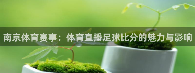 免费看nba绿茵直播