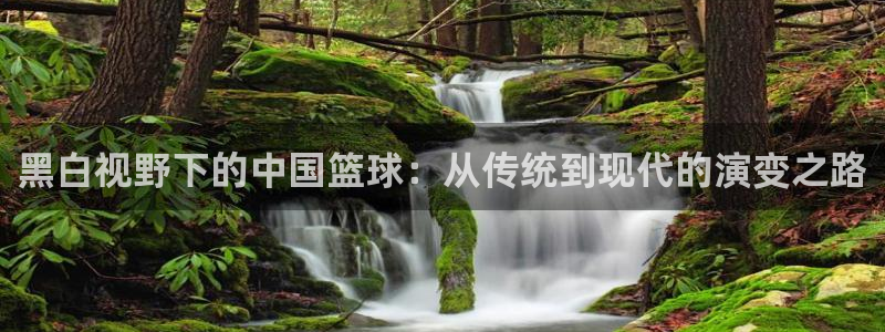 绿茵直播足球直播