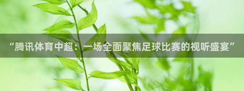 体育新闻