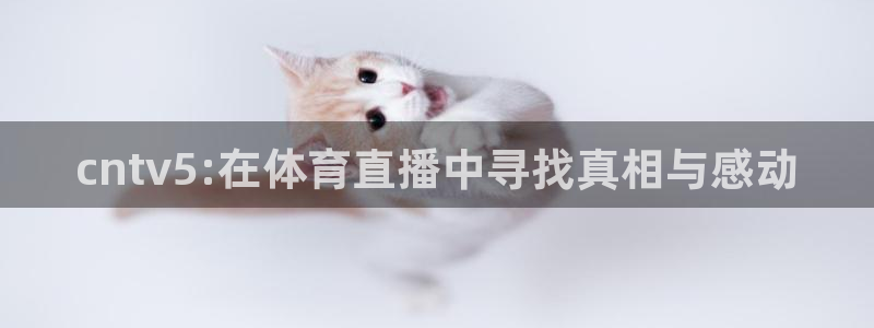 绿茵直播体育免费观看lyzb