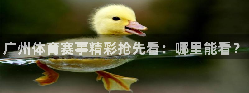 体育新闻