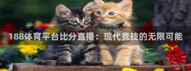 体育新闻