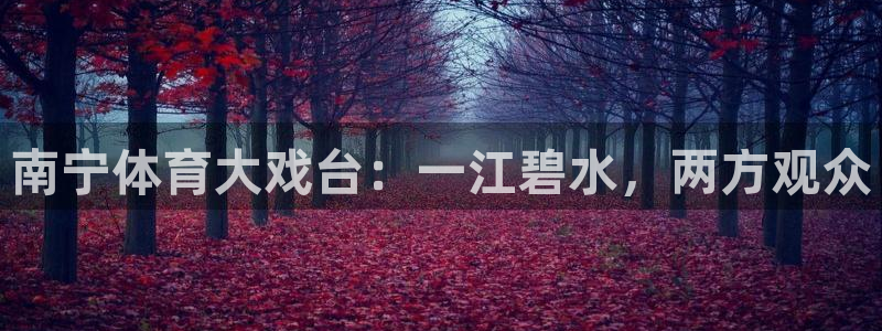 体育新闻