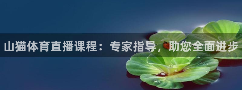 体育新闻